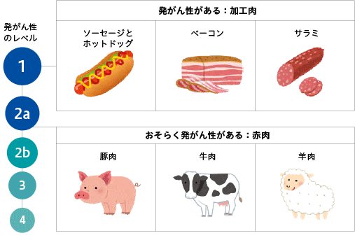 加工肉と赤肉の発がん性に関するWHO分類