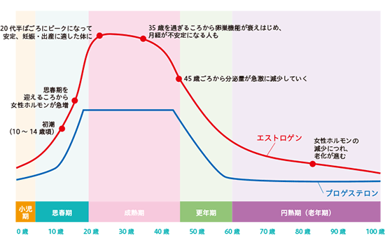 女性ホルモン分泌量の変化