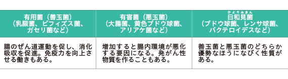 腸内細菌の種類