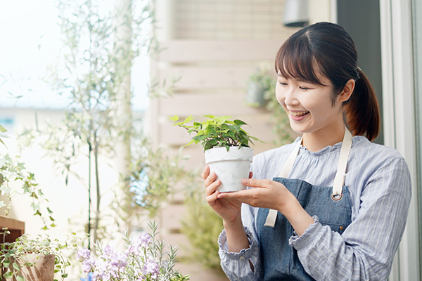 花を見るだけでストレス軽減