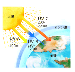 紫外線の波長