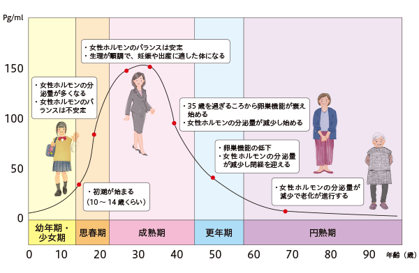 女性のライフステージと女性ホルモン（エストロゲン）分泌量の変化