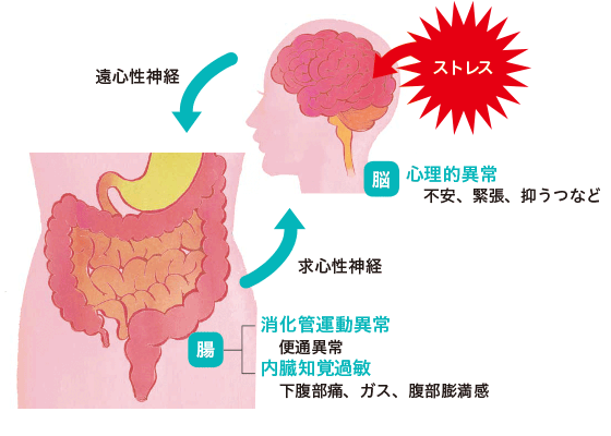 慢性的な腹痛にご注意 知っておきたい病気 医療 からだケアナビ