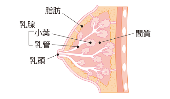 排卵日乳首痛い