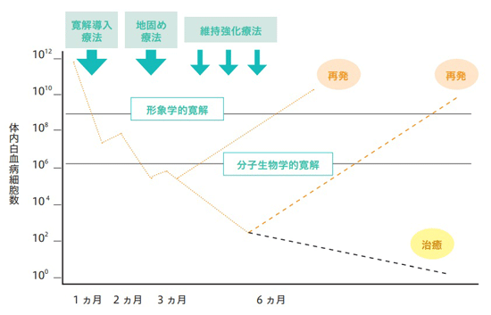 白血病治療のイメージ