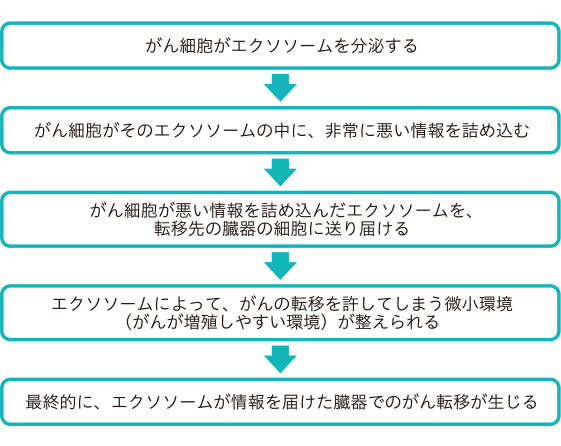 エクソソームとがん転移のメカニズム