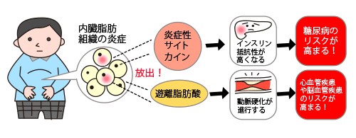 慢性炎症のイメージ